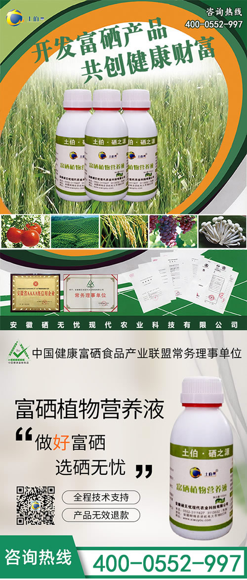 富硒肥,富硒生姜 富硒肥,富硒生姜